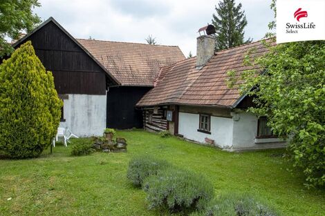 foto02_11409184_lm7fk.jpg