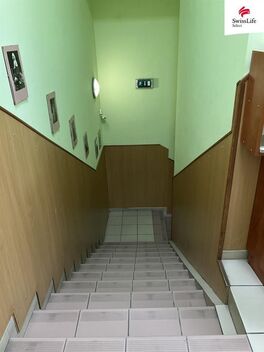 foto02_11491611_1vddw.jpg