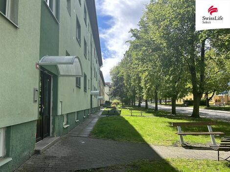 foto02_11498358_5swlo.jpg