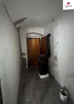 foto02_11505980_h00n0.jpg