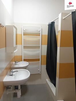 foto02_11518832_lsrjk.jpg