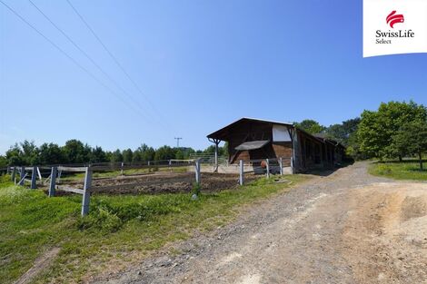 foto02_11521031_10rzno.jpg