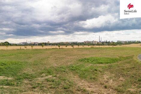 foto02_11529264_t2ke0.jpg