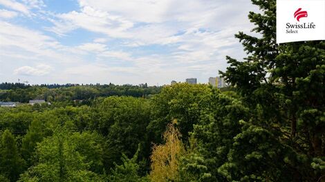 foto02_11534826_ef6nw.jpg