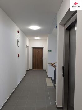 foto02_11541007_blot0.jpg