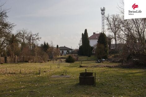 foto02_11543637_xxrc.jpg