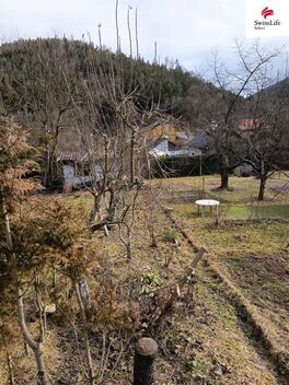 foto02_11544990_mrdzs.jpg