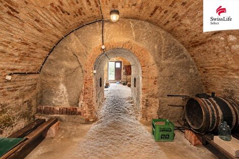 foto02_11549652_s3jw8.jpg
