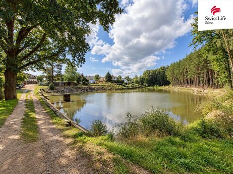 foto02_11552427_bh04s.jpg