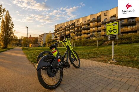 foto02_11553002_1bsn4s.jpg