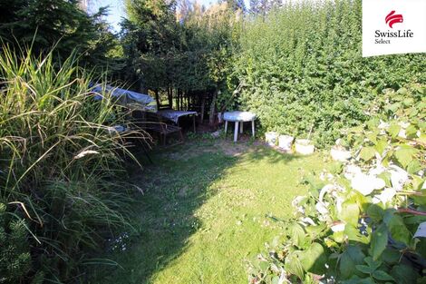 foto02_11554785_1n4y1w.jpg