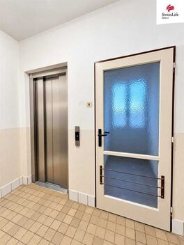 foto02_11558308_zsnig.jpg