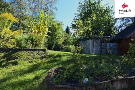 foto02_11565873_ci4h4.jpg