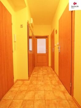 foto02_11569910_u4r8g.jpg