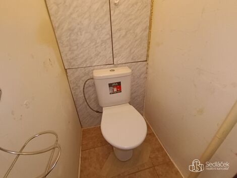 foto02_11472464_dcgg8.jpg