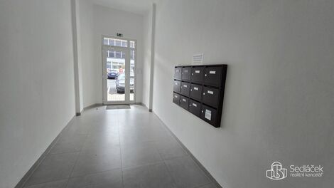 foto02_11533858_2m2hw.jpg