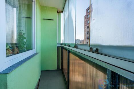 foto02_11541653_ia6wo.jpg