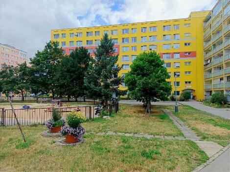 foto02_11354352_lv4hw.jpg