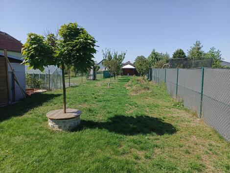 foto02_11442713_zbjgo.jpg