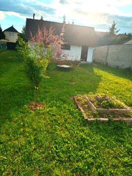 foto02_11497783_5vxjw.jpg