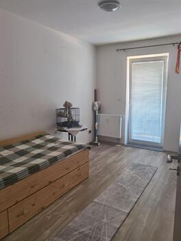 foto02_11501958_yheqo.jpg