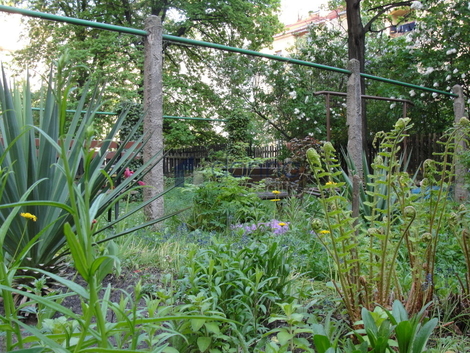 foto16_11365100_63412.jpg