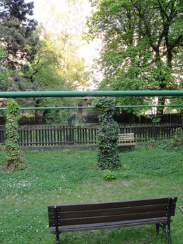 foto16_11498755_94733.jpg