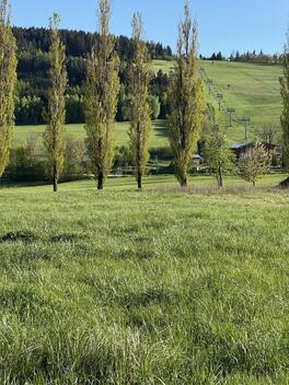 foto02_11562589_1k5ao.jpg
