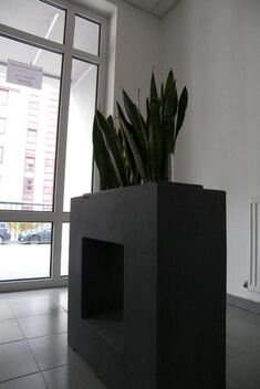foto02_11212868_kt858.jpg