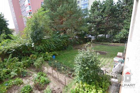 foto02_11383696_13qij8.jpg