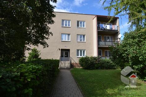 foto02_11383696_iarcs.jpg
