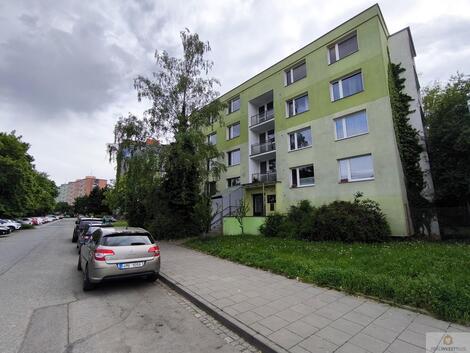 foto02_11496577_n2kgo.jpg