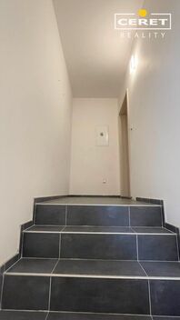 foto02_11486724_quqxk.jpg