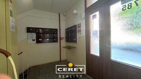 foto02_11544170_4o3jk.jpg