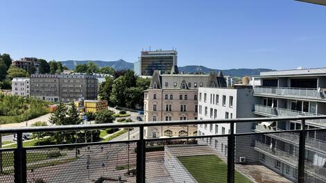 foto02_11384394_plvi0.jpg
