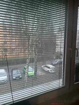 foto02_11486727_1kanvk.jpg