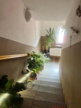 foto02_11492328_cckh4.jpg