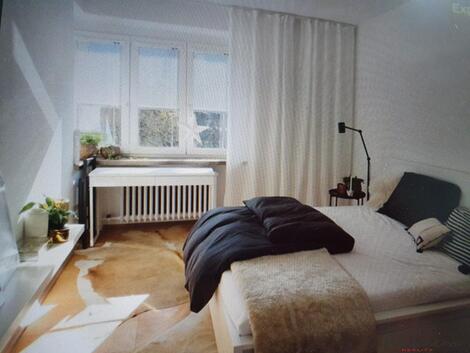 foto02_11543441_si2no.jpg