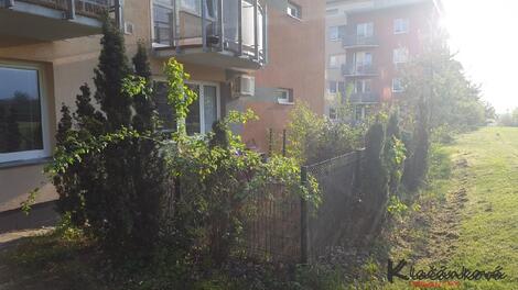 foto02_11564709_x7x0c.jpg