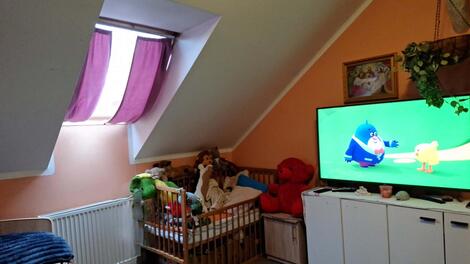 foto02_11468777_pd2g4.jpg