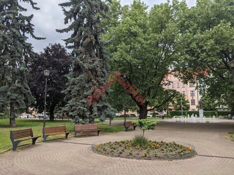foto02_11497786_quo0.jpg