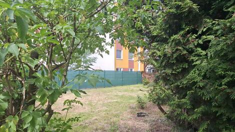 foto02_11519270_1kcjbc.jpg