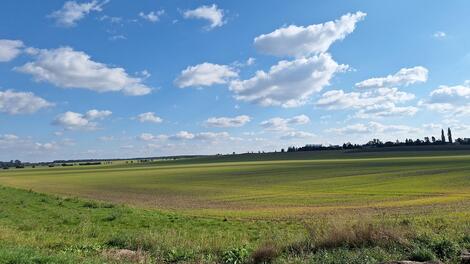 foto02_11527430_rzgac.jpg