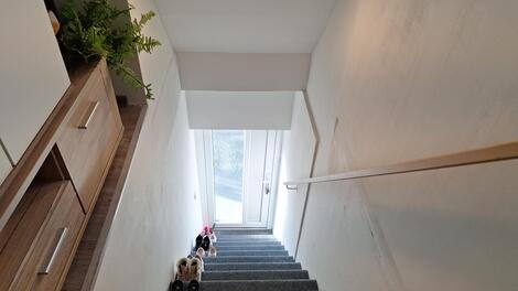 foto02_11536577_19xrkk.jpg