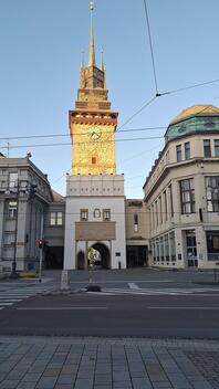 foto02_11544171_r1x40.jpg