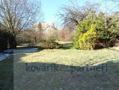 foto02_11479368_v5zz4.jpg