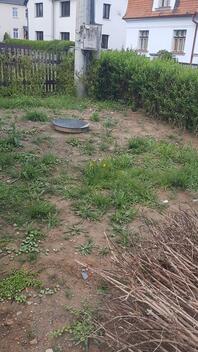 foto02_11498956_i9pjo.jpg