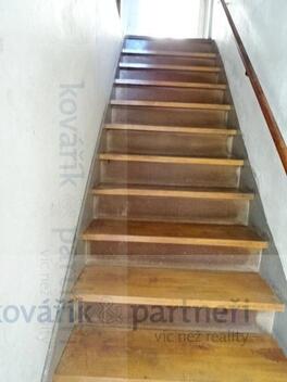 foto02_11508220_1gv7cs.jpg