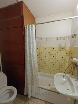 foto02_11515665_pz9tw.jpg