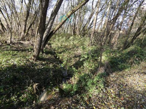 foto02_11462116_13rc0c.jpg